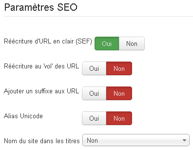 Paramètres SEO